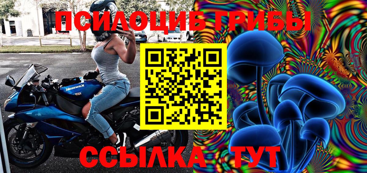 Новозыбков  Галлюциногенные грибы Psilocybe  Псилоцибиновые грибы прущие грибы  где купить наркотик  Вход с VPN 