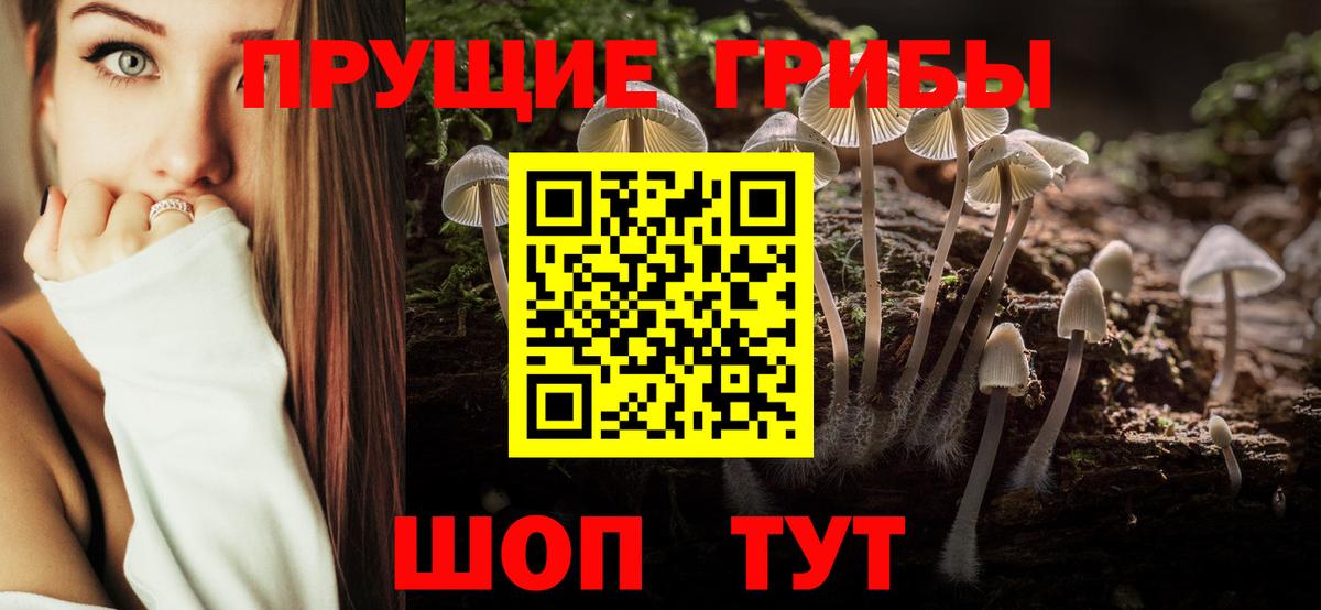 Галлюциногенные грибы GOLDEN TEACHER Новозыбков
